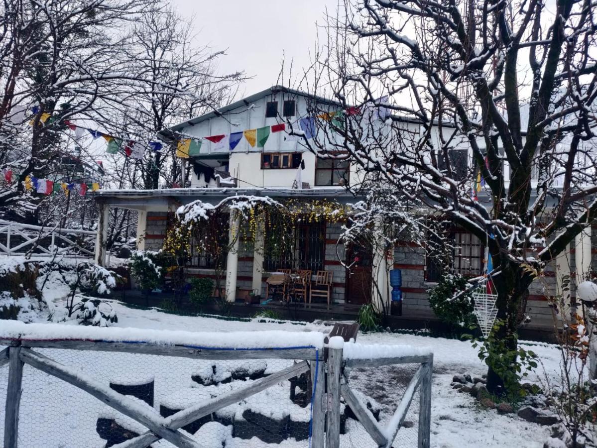 Mars Monkey Hostel & Cafe - Manali (Himachal Pradesh) — Photos 3