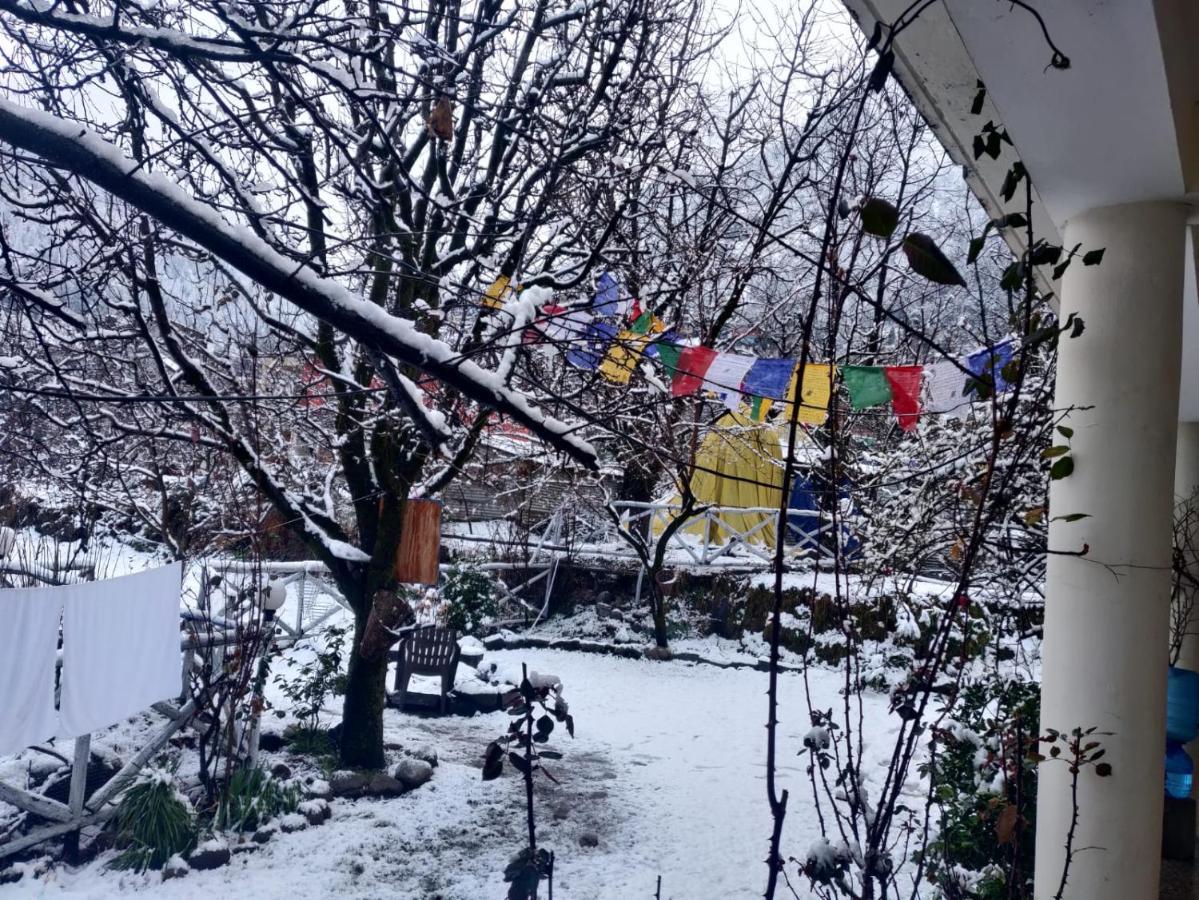 Mars Monkey Hostel & Cafe - Manali (Himachal Pradesh) — Photos 2